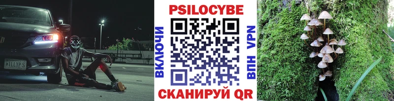 Псилоцибиновые грибы Cubensis  Купить закладки  Фурманов 